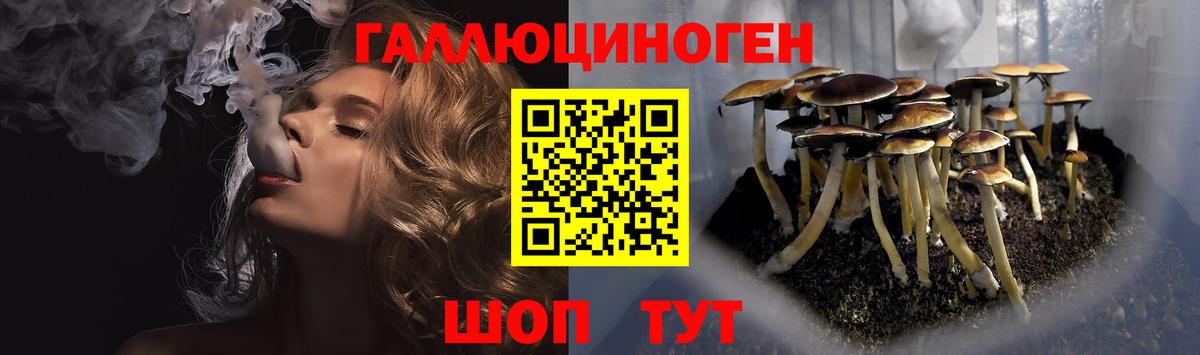 цена   Вход с VPN  Ливны  Галлюциногенные грибы ЛСД 